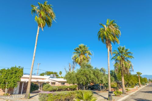 5951 17th St, Tucson, AZ 85711-4614