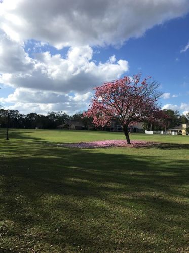 1206 Chantry Pl, Lake Mary FL exterior