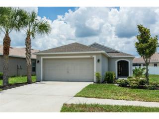 7011 Forest Mere Dr, Riverview, FL 33578-8649