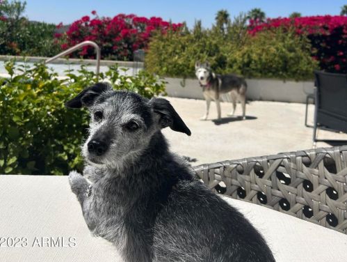 15254 12th St, Phoenix AZ  85022-3805 exterior