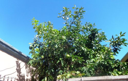 6790 3rd St, Tucson AZ  85710-1244 exterior