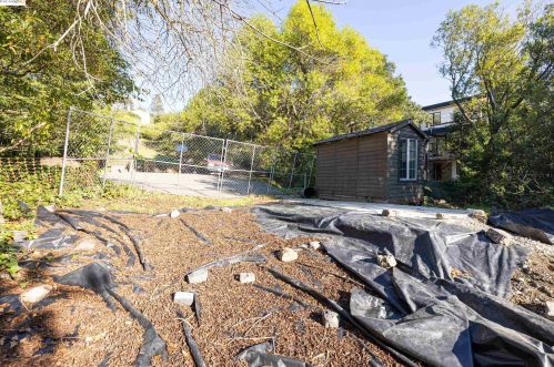 703 Santa Barbara Rd, Berkeley CA 94707-2018 exterior