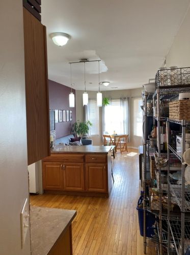 3342 Crystal St, Chicago IL 60651-2353 exterior