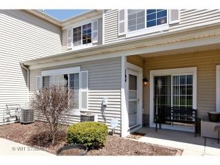 164 Heather Glen Dr, Aurora IL  60504-6687 exterior