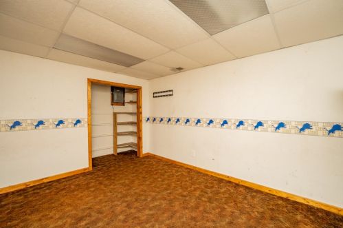 332 12 St, Plainwell MI 49080-1117 exterior