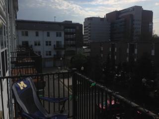 1113 Freesia Ct, Ann Arbor MI  48105-1972 exterior