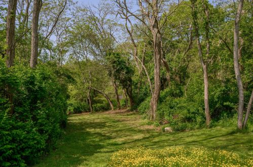 75 Massasoit Rd, Eastham MA 02642-1500 exterior