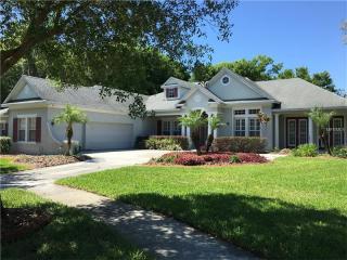 15801 Sorawater Dr, Lithia, FL 33547-3911