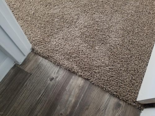 2531 Campo Bello Dr, Phoenix AZ 85032-2219 exterior