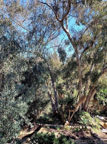 3329 Menlo Ave, San Diego CA  92105-4219 exterior