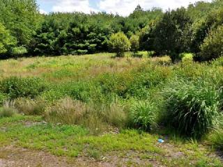 1180 Tiogue Ave, Coventry, RI 02816-6118