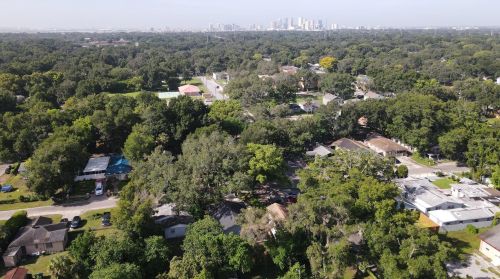 1704 Louisiana Ave, Tampa FL  33610-6037 exterior