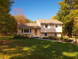 1273 Mount Vernon Rd, Bridgewater, NJ 08807-1435