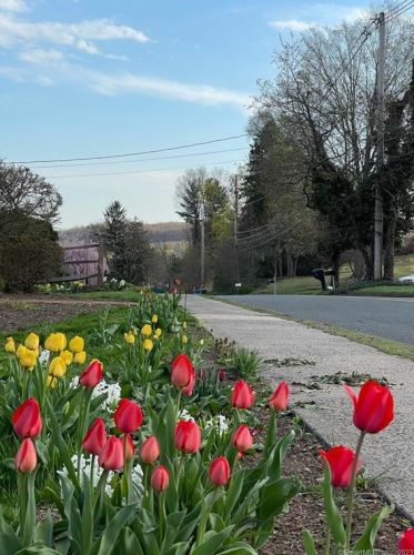 6 Jones Rd, Wallingford CT  06492-4305 exterior