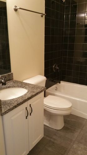 2008 Calumet Ave, Chicago IL 60616-1407 exterior