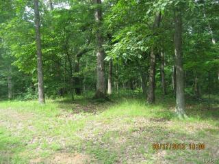 440 Winchester Way, Winfield MO  63389-2321 exterior