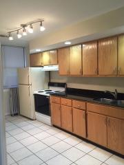 301 50th St, Chicago IL  60615-2217 exterior