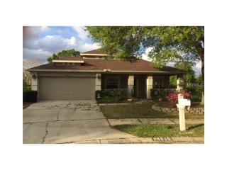 28815 Skyglade Pl, Zephyrhills FL  33543-6418 exterior