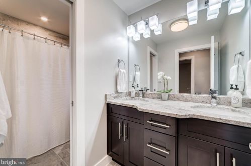 113 Maple St, Alexandria VA 22301-2606 exterior