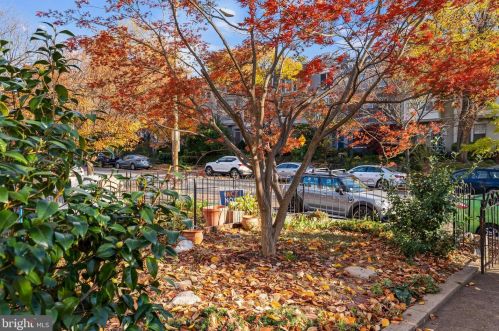 118 Carolina Ave, Washington DC 20003-2003 exterior