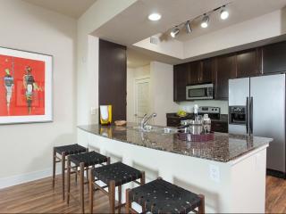 43 Rainey St, Austin TX  78701-4426 exterior