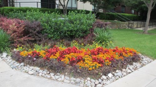 4605 Cedar Springs Rd, Dallas TX  75219-1361 exterior