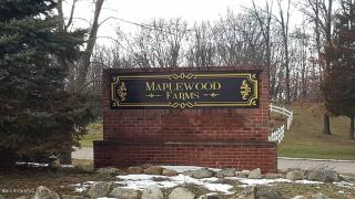 10795 Callaway Ave, Kalamazoo, MI 49009-6211