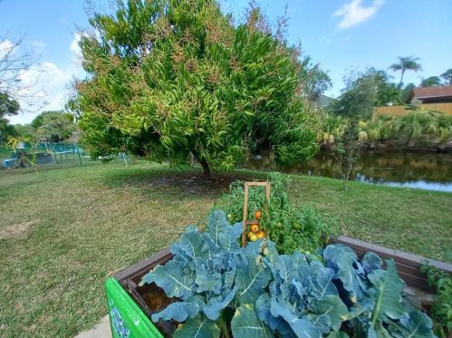 1719 Leafy Rd, Fort Pierce FL 34953-1356 exterior