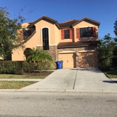 20329 Chestnut Grove Dr, Tampa FL  33647-3345 exterior