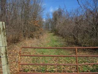 745 Ellingsworth Ln, Highlandville MO  65669-8104 exterior