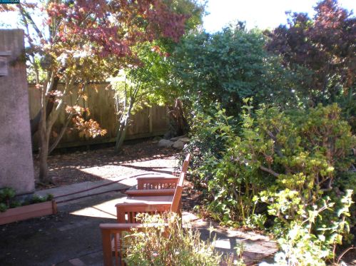 2424 Curtis, Berkeley CA 94702-2037 exterior