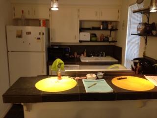 1011 25th 1/2 St, Austin TX  78705-4372 exterior