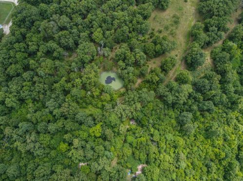 26320 Swindell Dr, Swedeborg MO 65556-7621 exterior