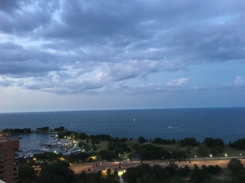 336 Wellington Ave, Chicago IL  60657-5650 exterior