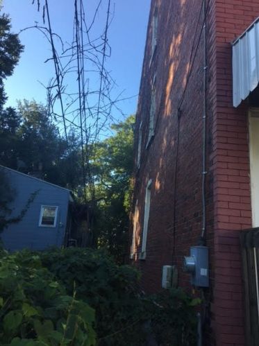 1231 Success St, Pittsburgh PA 15212-2962 exterior