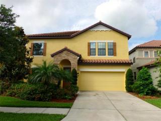 8215 Dunham Sta Dr, Tampa FL  33647-3321 exterior