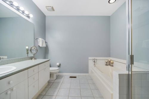 253 Goethe St, Chicago IL 60610-1803 exterior