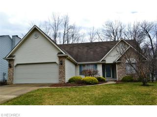 8525 Tanglewood Ln, Cleveland OH  44129-6911 exterior