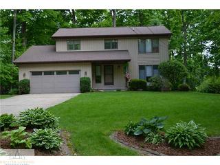 4220 Driftwood Dr, Dewitt, MI 48820-9233