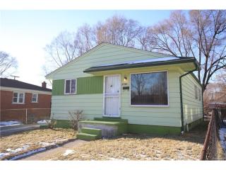 3788 10th St, Detroit MI  48229-1615 exterior