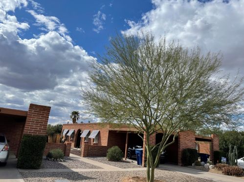 1217 Dodge Blvd, Tucson AZ 85713-5339 exterior