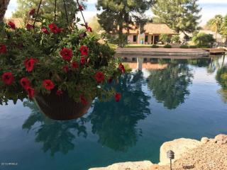 1649 Rock Creek Cir, Chandler, AZ 85225-5442