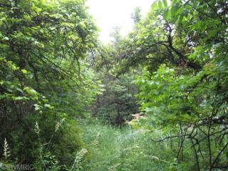 1490 Alden Nash Ave, Lowell MI  49331-8570 exterior