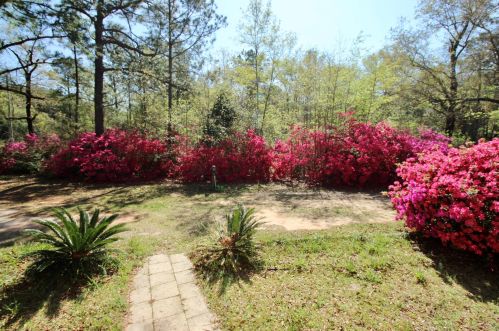 36 Williams Rd, Defuniak Springs FL 32433-5411 exterior