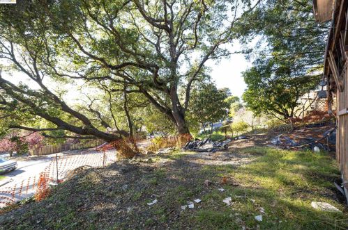 703 Santa Barbara Rd, Berkeley CA 94707-2018 exterior