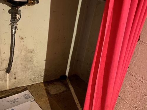 2933 Rochelle Ave, Milwaukee WI  53209-2624 exterior