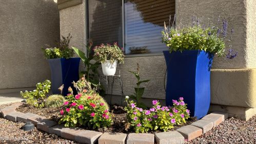 5756 Cortaro Crossing Dr, Tucson AZ  85742-8128 exterior