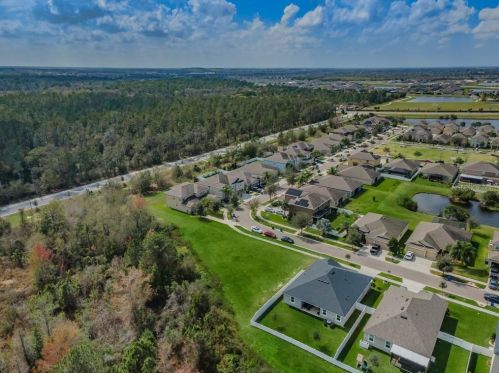 12207 Streambed Dr, Riverview FL 33579-9305 exterior