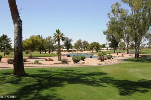 26209 Cloverland Dr, Chandler AZ 85248-9221 exterior