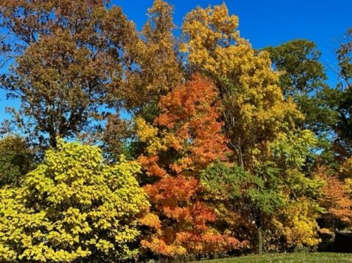 375 Rifle Camp Rd, West Paterson NJ  07424-3213 exterior